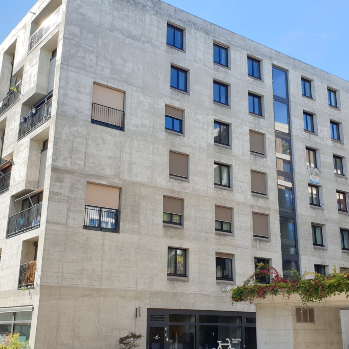 Zürich-Bern-Basel-St.Gallen-Luzern-Winterthur-Anwalt-Sozialversicherungsrecht-Organhaftung-nicht-bezahlte-AHV-Beiträge-Schadenersatz-GmbH-Geschäftsführung